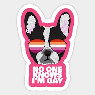 Funny Lesbian NO ONE KNOWS I'M GAY - Boston Terrier Dog Lesbian Pride Flag Sticker